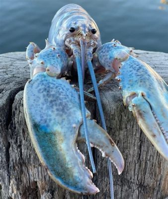 Can You Have a Lobster as a Pet, and Why Do They Always Look Like They're Judging You?