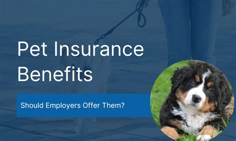 Do some employers offer pet insurance as a benefit, and how does this reflect on workplace culture?