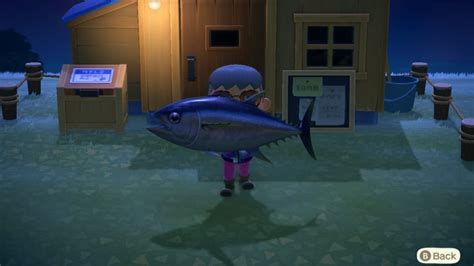 How to Catch Rare Fish in Animal Crossing: A Comprehensive Guide to Reeling in the Elusive