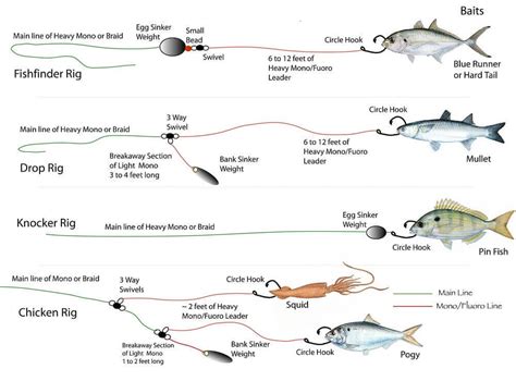 How to Set Up a Fishing Line for Saltwater: And Why Your Cat Might Be a Better Angler Than You