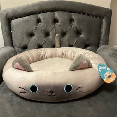 How to Wash Squishmallow Pet Bed: A Comprehensive Guide to Keeping Your Plush Companion Fresh and Clean