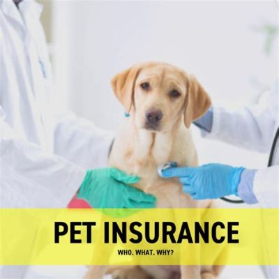 Is Pet Insurance Accepted Everywhere? Exploring the Unpredictable World of Pet Healthcare Coverage