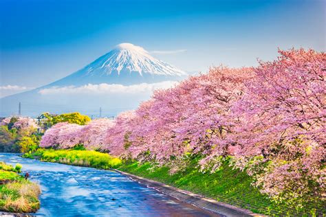 楽天トラベル 静岡 ～富士山の麓で見つける、意外な旅の楽しみ～