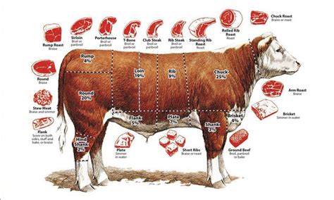 What Animal Steak Come From: A Culinary and Philosophical Exploration