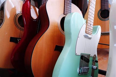 What Guitar Should I Buy: A Symphony of Choices in a World of Chaos