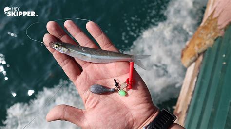 What is the Best Bait for Saltwater Fishing? And Why Do Fish Sometimes Prefer a Good Joke Over a Shiny Lure?